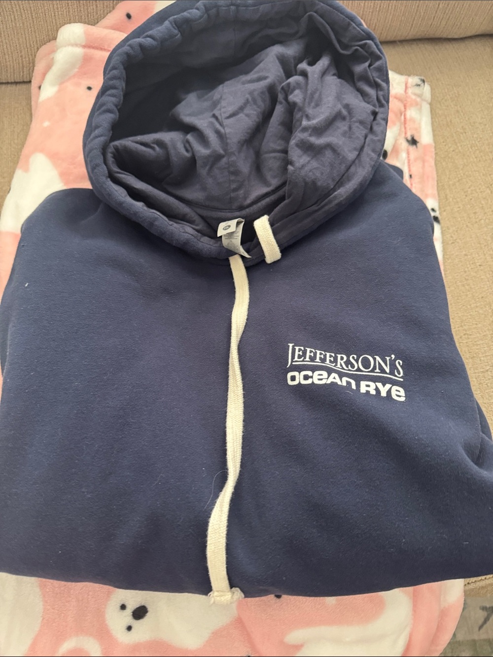 Ocean Rye Men's Navy Hooded Sweatshirt